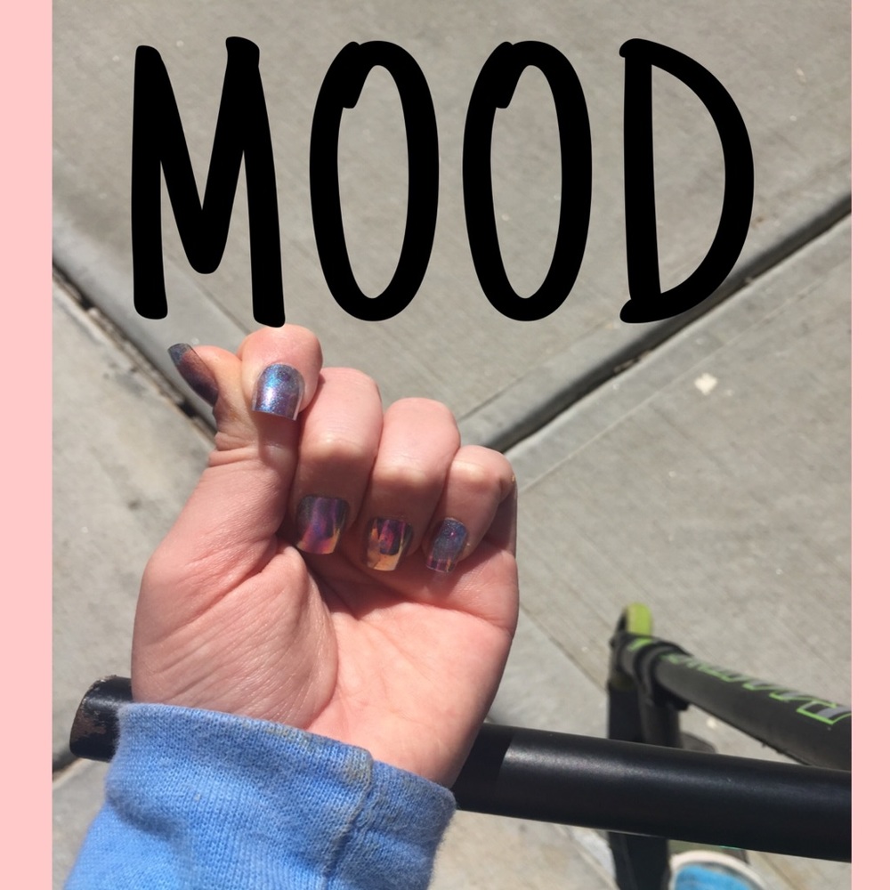 Meet your Posher, Payton